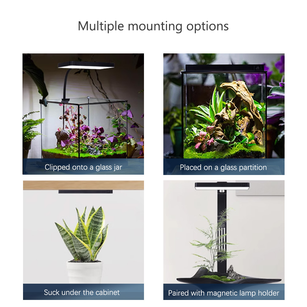 WEEK AQUA RGB + UV nuevo modo  - Plant Parent App reseña y precio