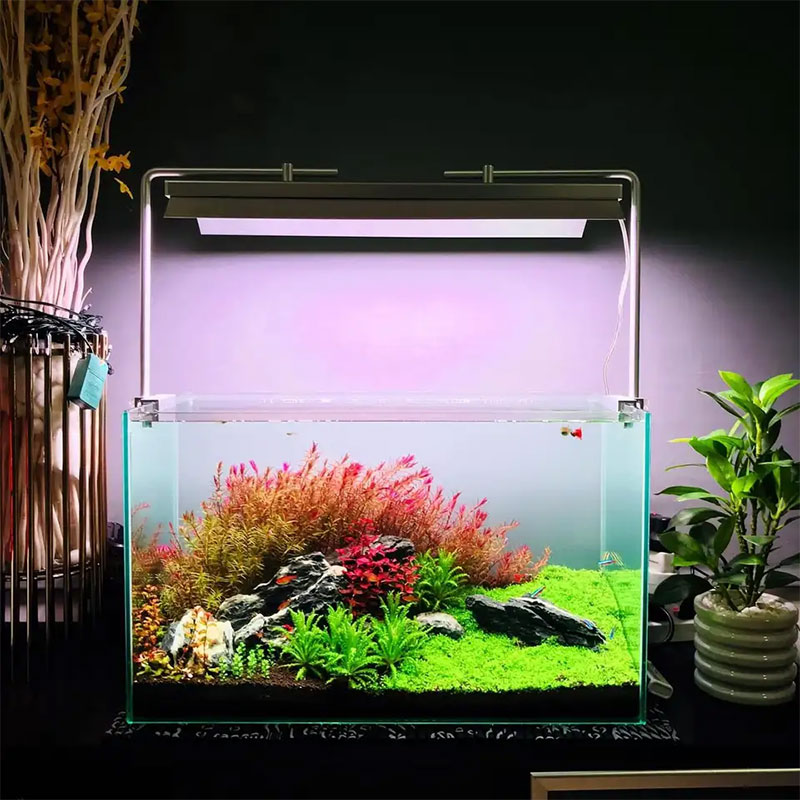 Lámpara LED para Acuarios WEEK - Plant Parent App reseña y precio